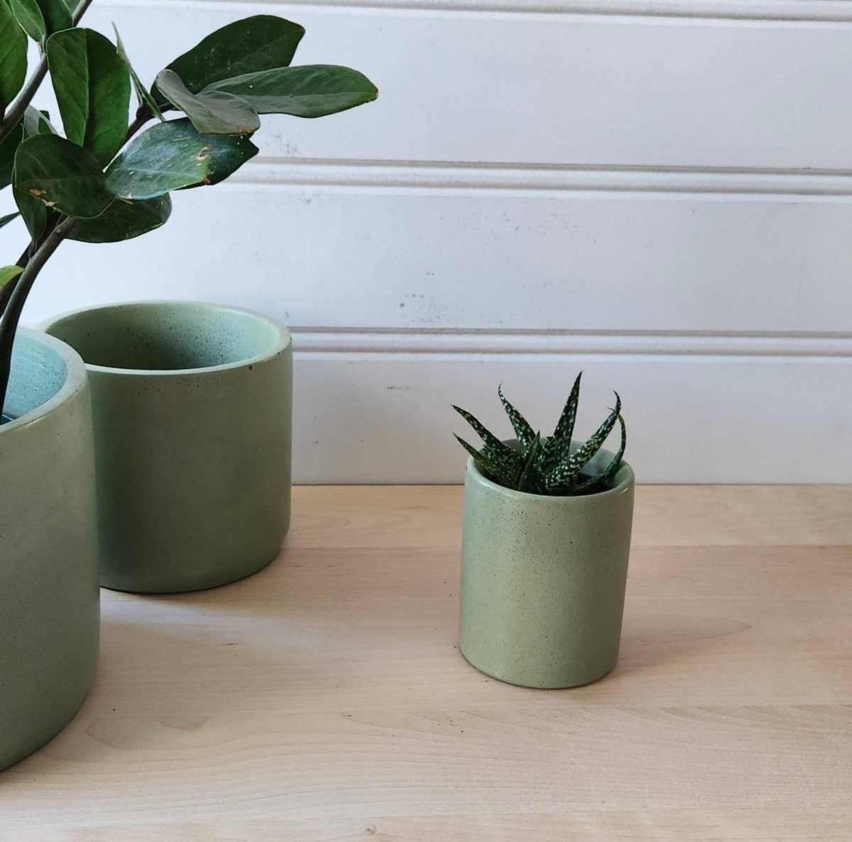 PLANT ‘ER HERE Cylinder Planter- 3