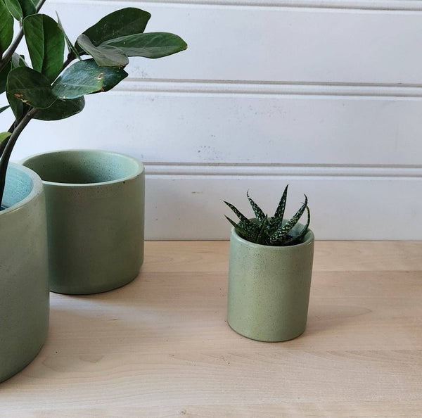 PLANT ‘ER HERE Cylinder Planter- 3" 5" 7" Blush