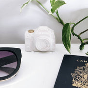 PLANT ‘ER HERE Mini Camera Decor