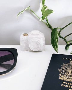 PLANT ‘ER HERE Mini Camera Decor