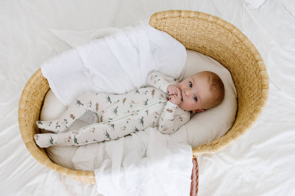 love + wild Zip Sleeper - Dinosaurs