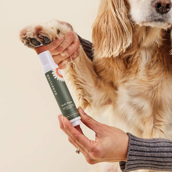 DANDYLION Soft Paws Hydrating Paw Lotion