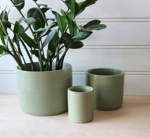 PLANT ‘ER HERE Cylinder Planter- 3" 5" 7" Blush