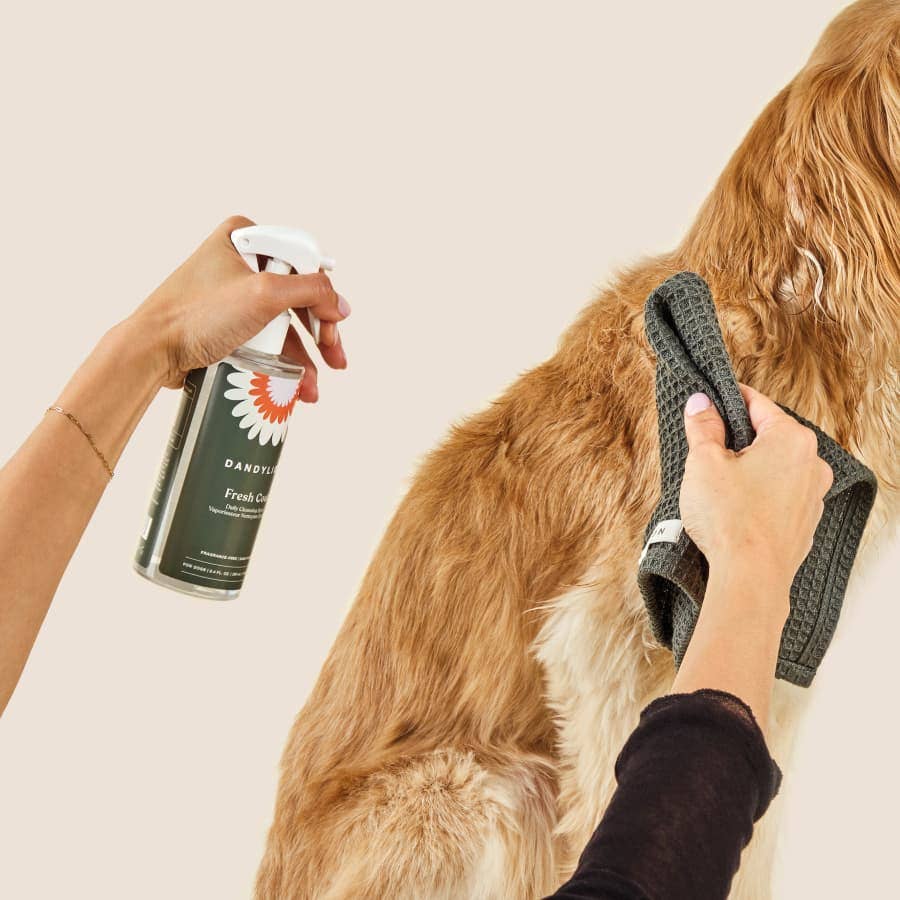 DANDYLION Fresh Coat Daily Cleansing Spray | Waterless No-Rinse Shampoo