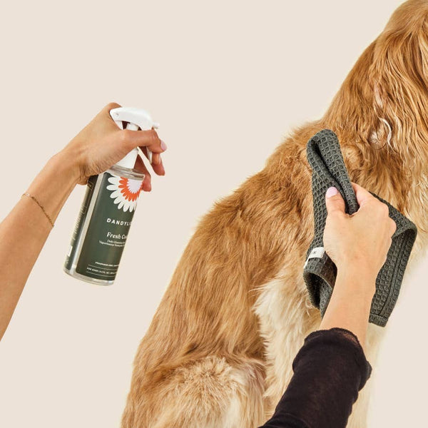 DANDYLION Fresh Coat Daily Cleansing Spray | Waterless No-Rinse Shampoo