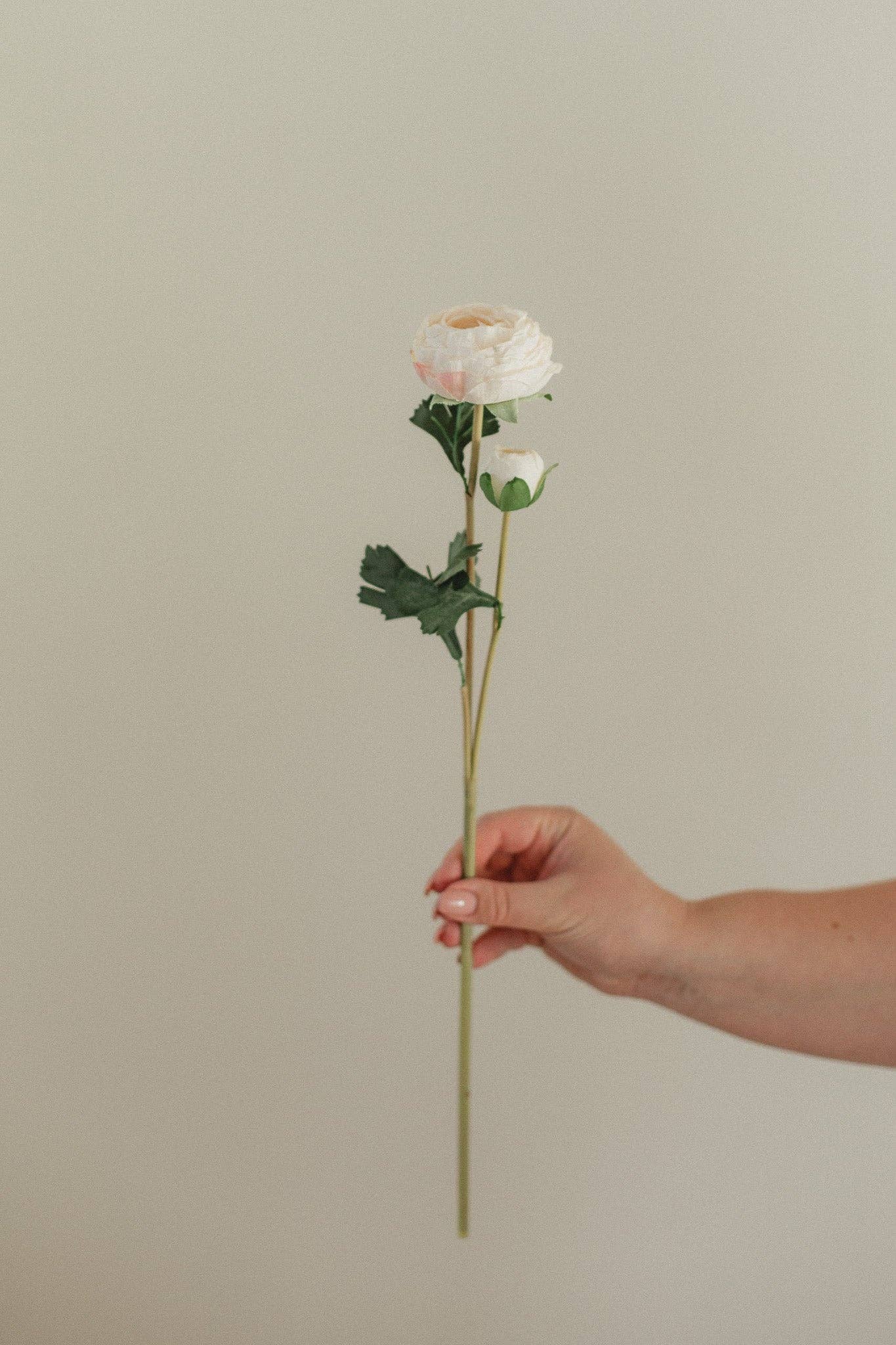 EUCALYPT Ranunculus