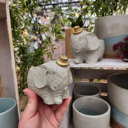 PLANT ‘ER HERE Edward The Elephant