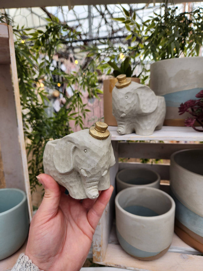 PLANT ‘ER HERE Edward The Elephant