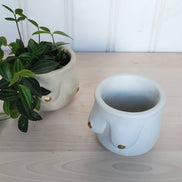 PLANT ‘ER HERE Golden Boob Pot