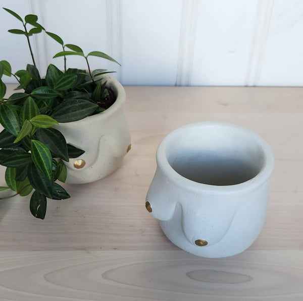 PLANT ‘ER HERE Golden Boob Pot