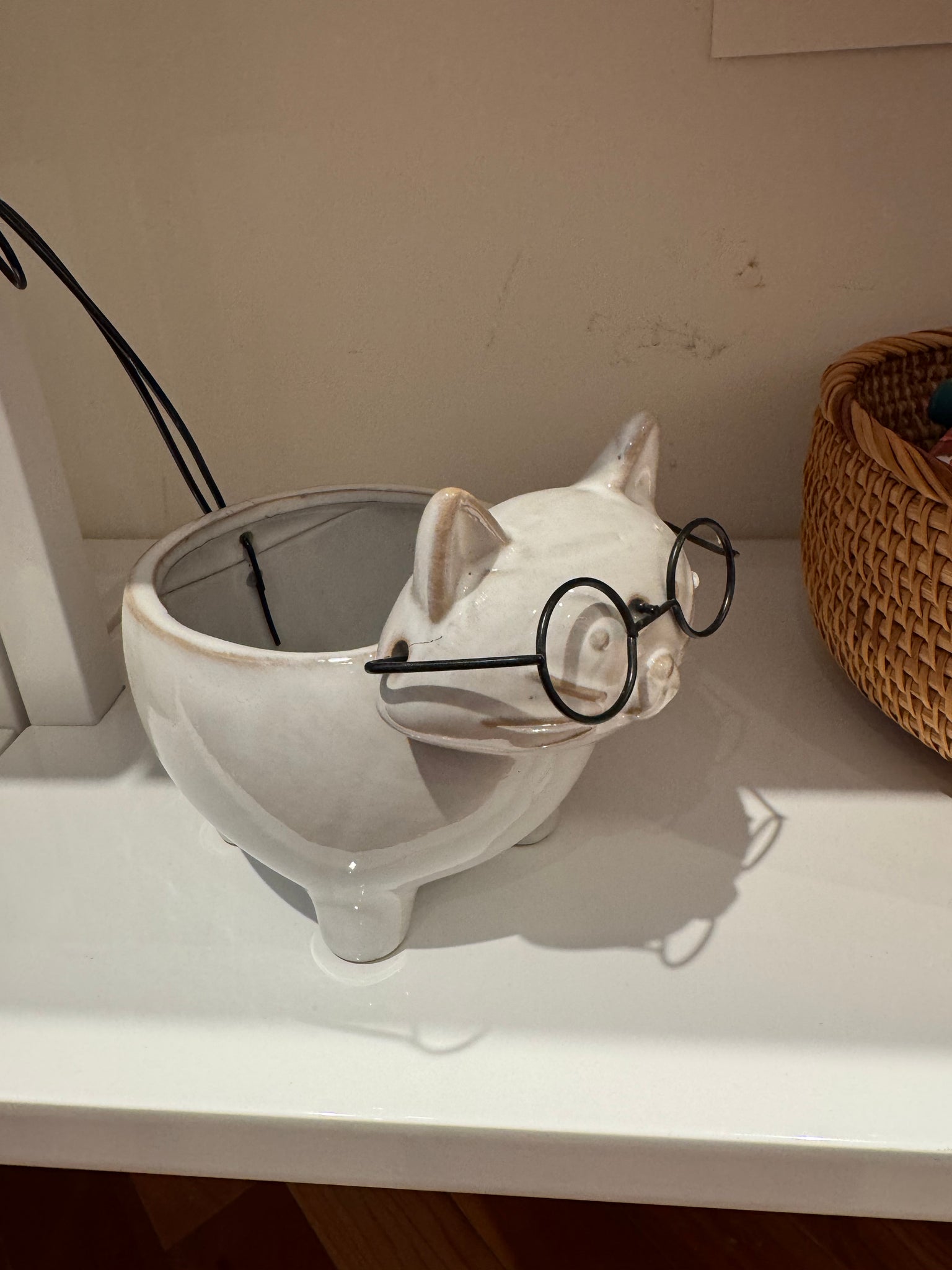 Ceramic cat pot wearing