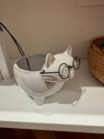 Ceramic cat pot wearing