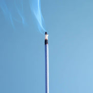 Burn Away the BS Incense