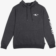 ONEILL CLEAN & MEAN PO HOODIE