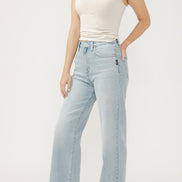 SILVER HIGHLY DESIRABLE TROUSER