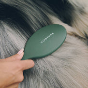 DANDYLION Daily Grooming Brush