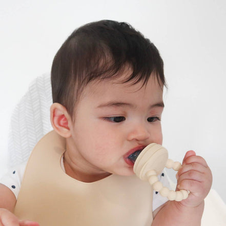 Baby bliss Fruit Feeder