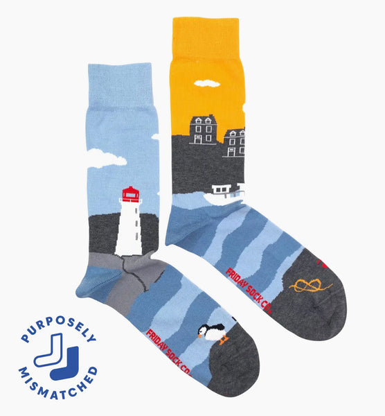 MEN’S FRIDAY TRAVEL ANIMALS, HOBBIES & MORE MISMATCHED SOCKS