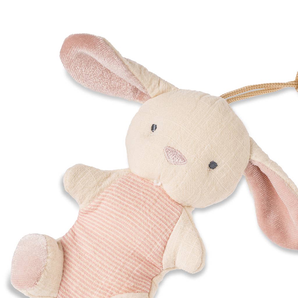 Bitzy Pal Natural Rubber Pacifier & Plush