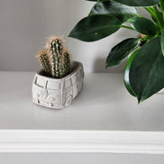 PLANT ‘ER HERE Retro Bus Compact Succulent Plant Pot