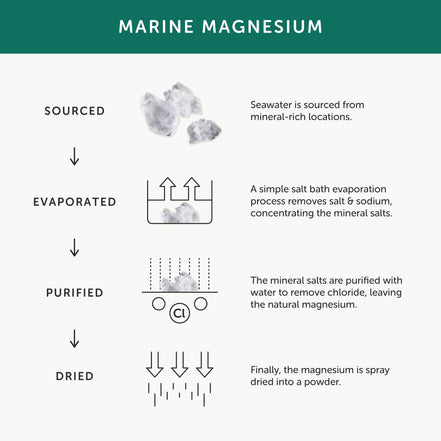 Magnesium Supplement – 30 Capsules
