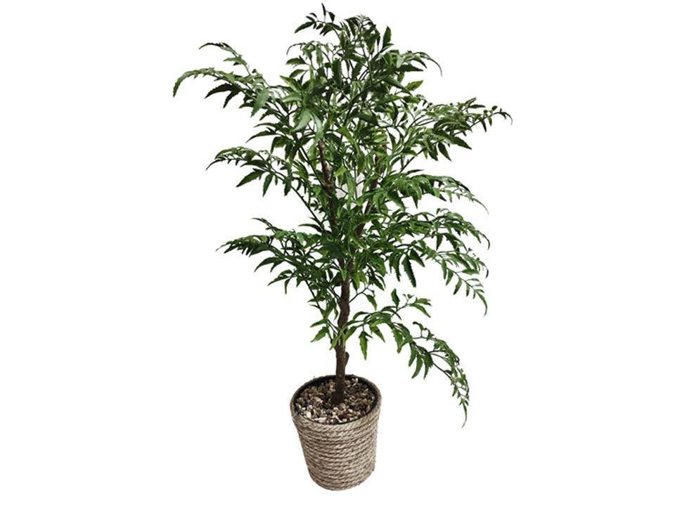 Truu Design Artificial Leafy Plant, 20