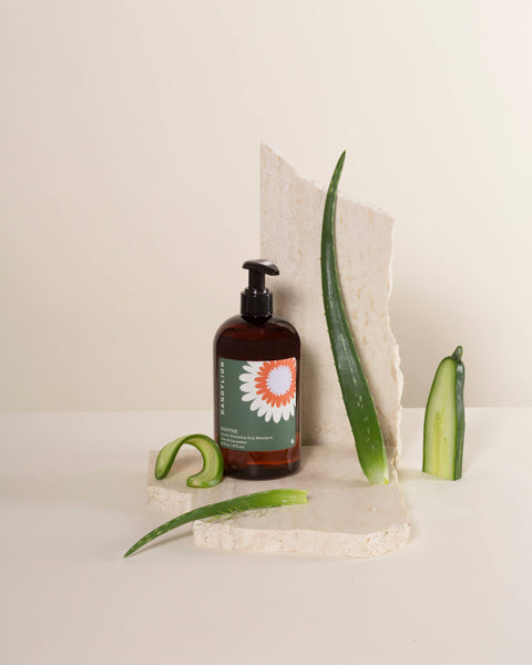 DANDYLION Soothe Gentle Cleansing Dog Shampoo
