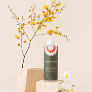 DANDYLION Refill - Clean Paws No-Rinse Foaming Cleanser