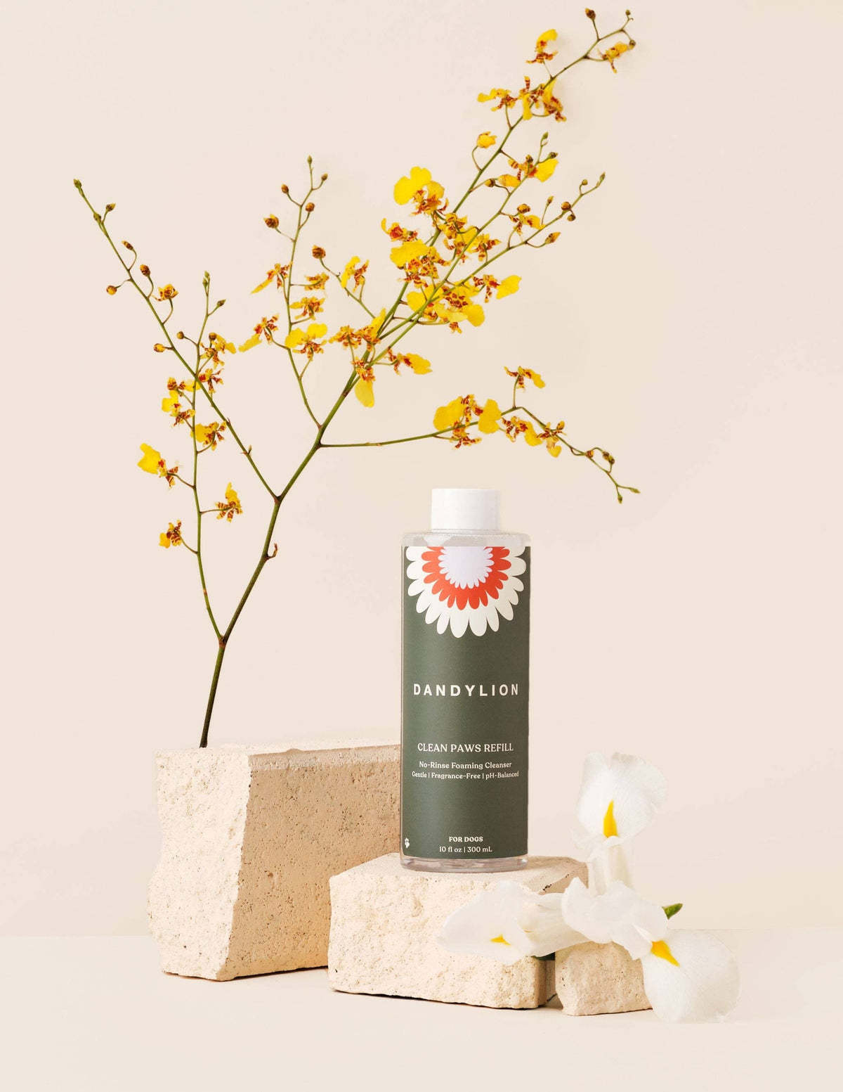 DANDYLION Refill - Clean Paws No-Rinse Foaming Cleanser