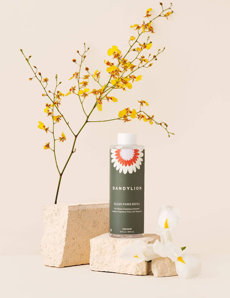 DANDYLION Refill - Clean Paws No-Rinse Foaming Cleanser