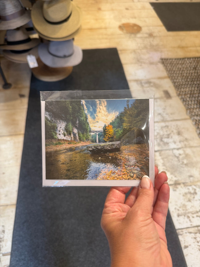 Jessica West ELORA CARDS