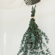 EUCALYPT-Eucalyptus Shower Bundle