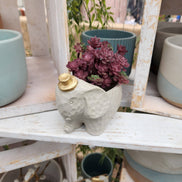 PLANT ‘ER HERE Edward The Elephant