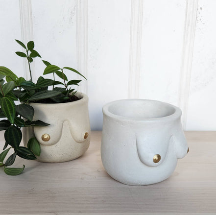 PLANT ‘ER HERE Golden Boob Pot