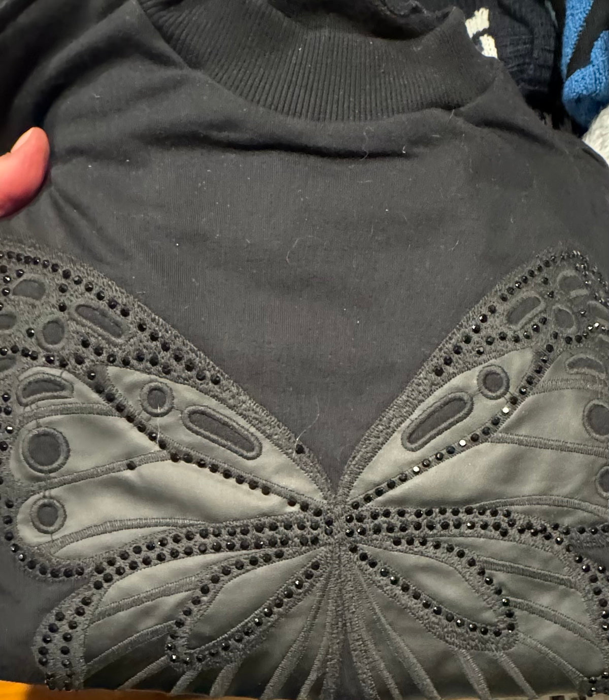 LEZ A LEZ BUTTERFLY CROP SWEATER