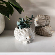 PLANT ‘ER HERE Marley the Hedgehog