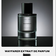 SOLID STATE EDP 50ML