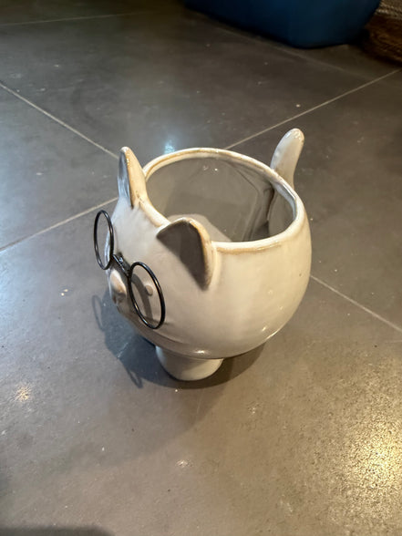 Ceramic Cat with Glasses