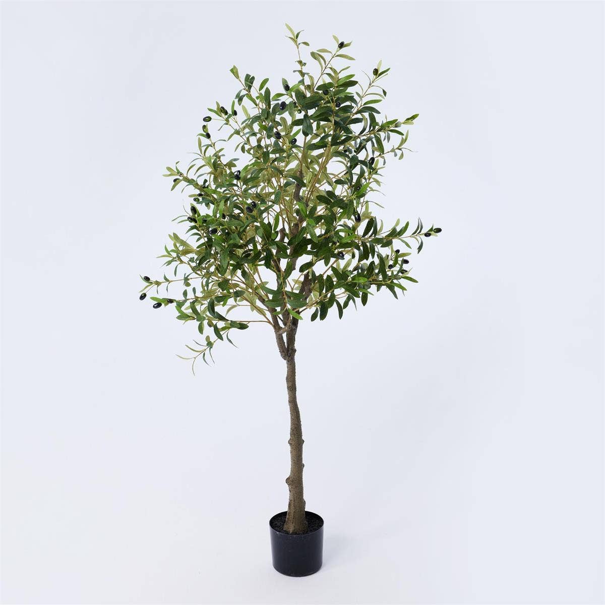 TRUU Artificial Potted Olive Tree, 63