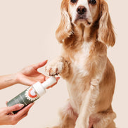 DANDYLION Refill - Clean Paws No-Rinse Foaming Cleanser