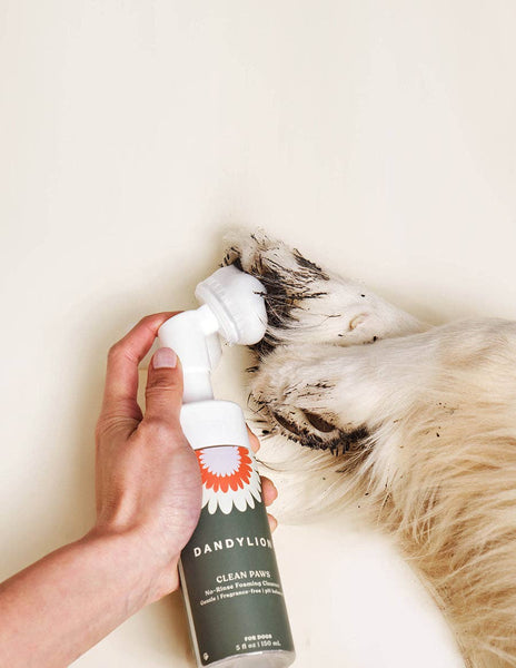 DANDYLION Clean Paws No-Rinse Foaming Cleanser