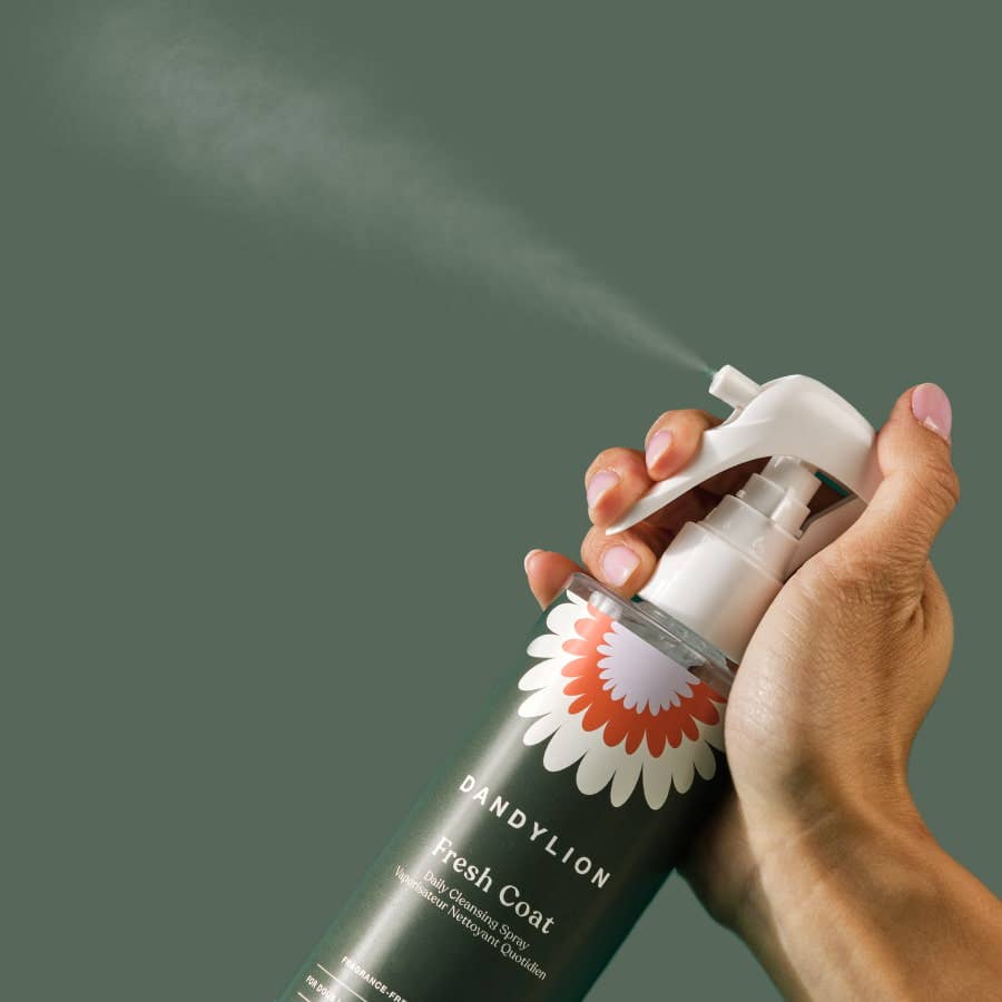 DANDYLION Fresh Coat Daily Cleansing Spray | Waterless No-Rinse Shampoo