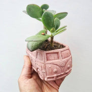 PLANT ‘ER HERE Retro Bus Compact Succulent Plant Pot