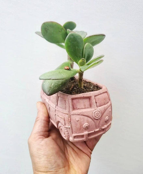 PLANT ‘ER HERE Retro Bus Compact Succulent Plant Pot