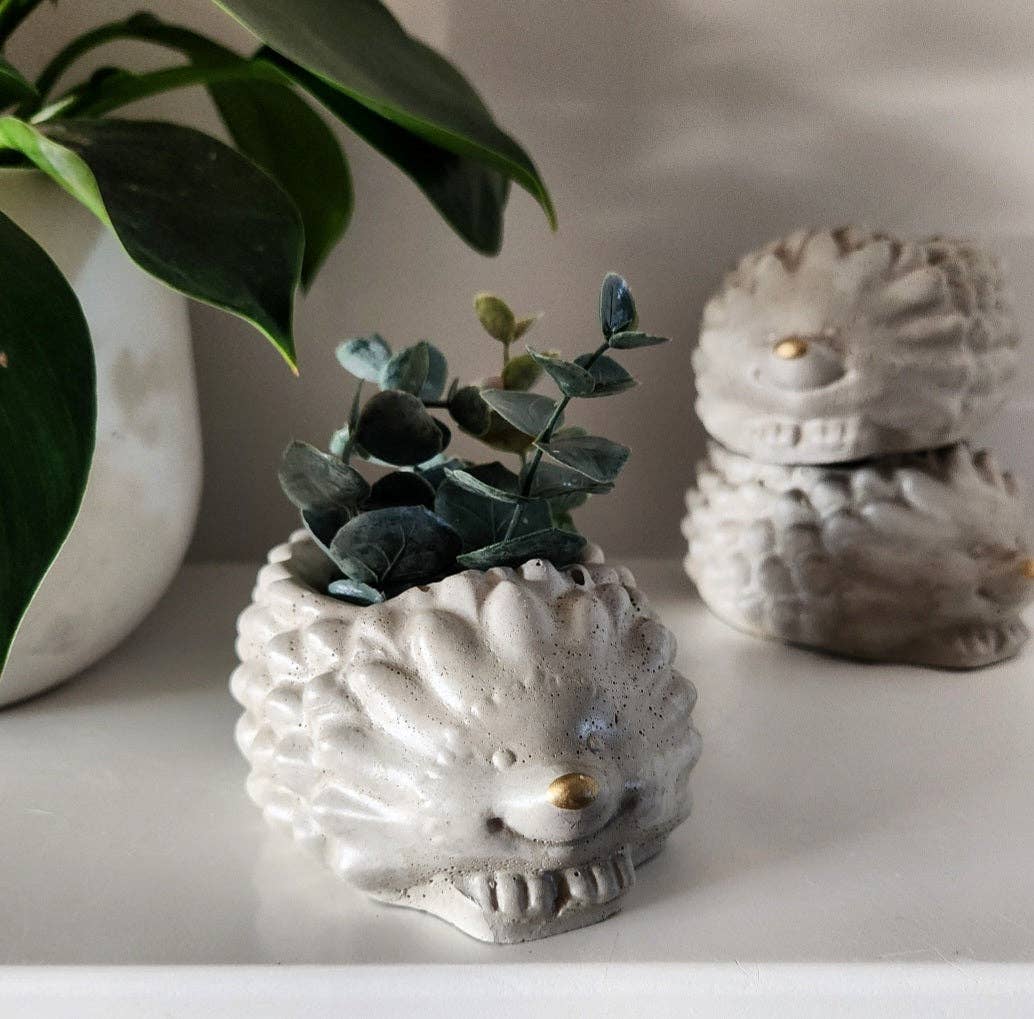 PLANT ‘ER HERE Marley the Hedgehog