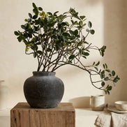 Terracotta Vase, Rounded Charcoal Form - Elna