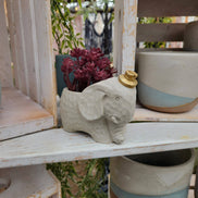 PLANT ‘ER HERE Edward The Elephant