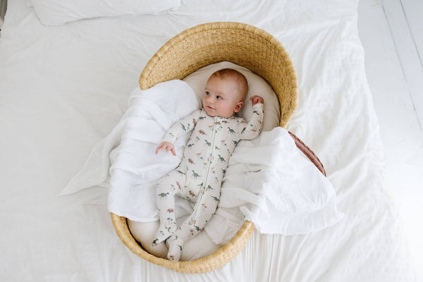 love + wild Zip Sleeper - Dinosaurs