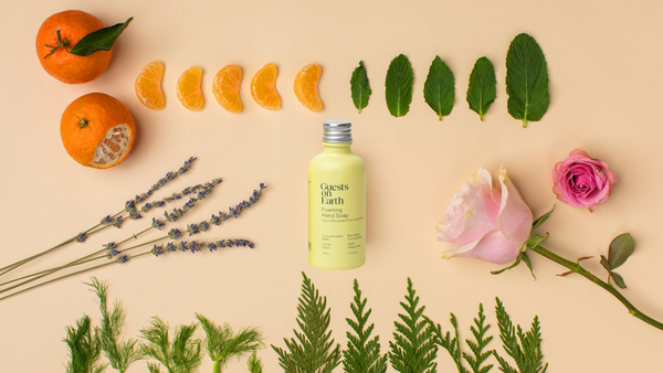 GUESTS ON EARTH All-Purpose Cleaner (full)