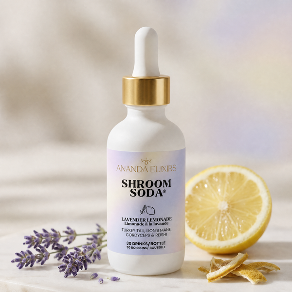 ANANDA Shroom Soda®